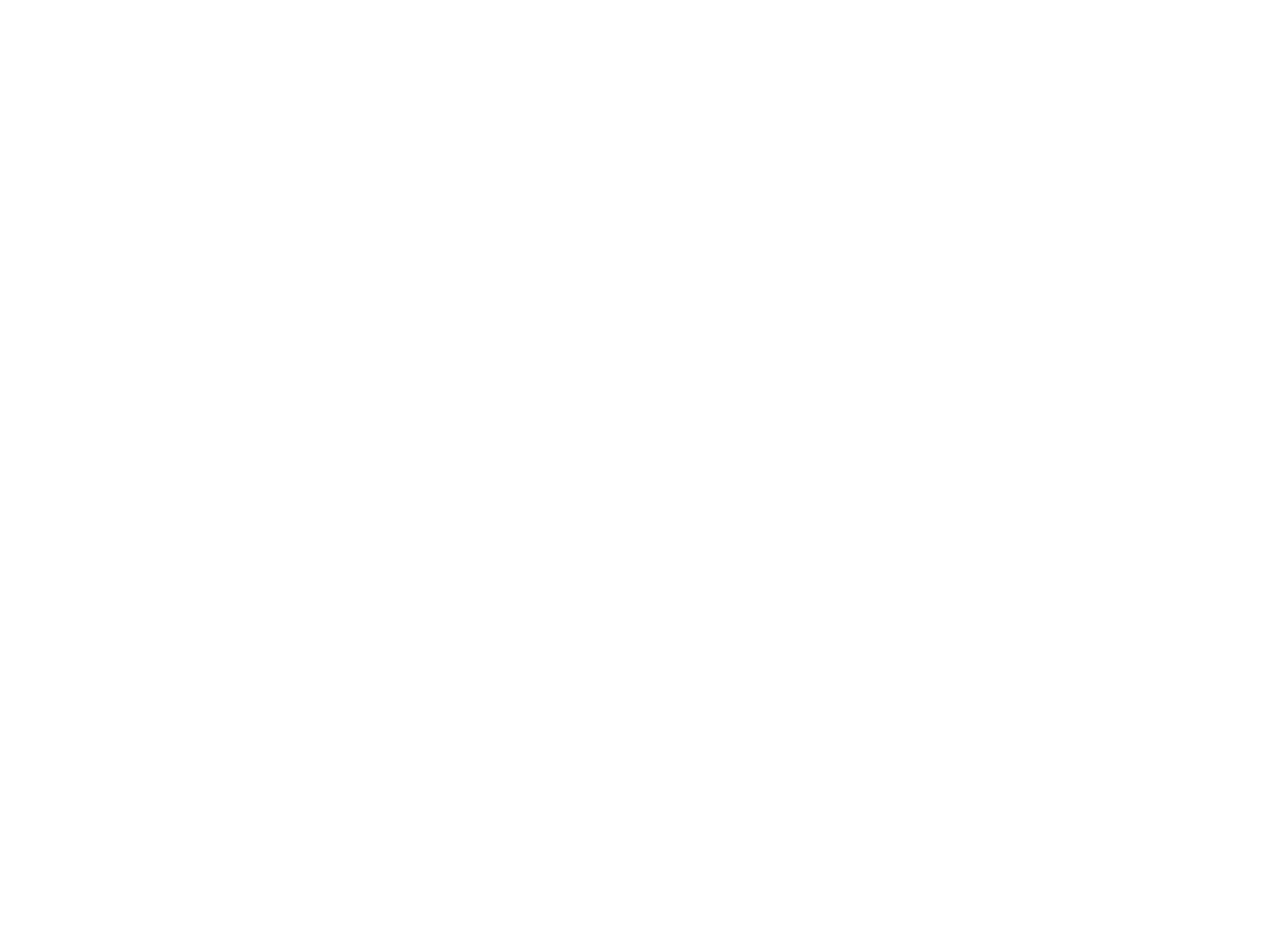 village of birchwood logo - smaller